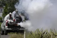 Los casos de dengue en Tucumán ascendieron a 469