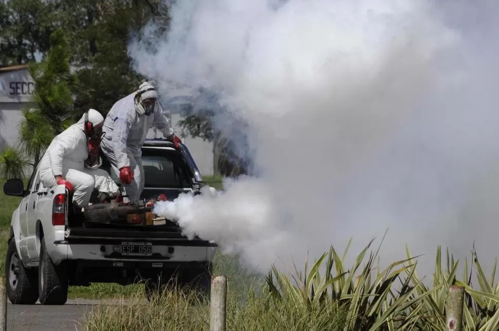 PREVENCIÓN. Las fumigaciones ayudan a disminuir la densidad de mosquitos adultos de Aedes aegypti. 