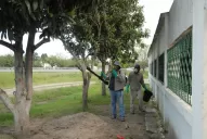 No descartan que pueda darse una doble infección: dengue y coronavirus