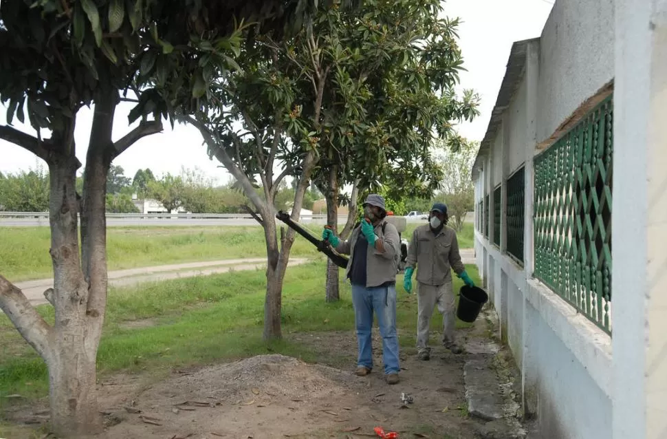 PREVENCIÓN. Agentes visitan los barrios para fumigar y concientizar a los vecinos sobre la importancia de eliminar los criaderos de mosquitos. 