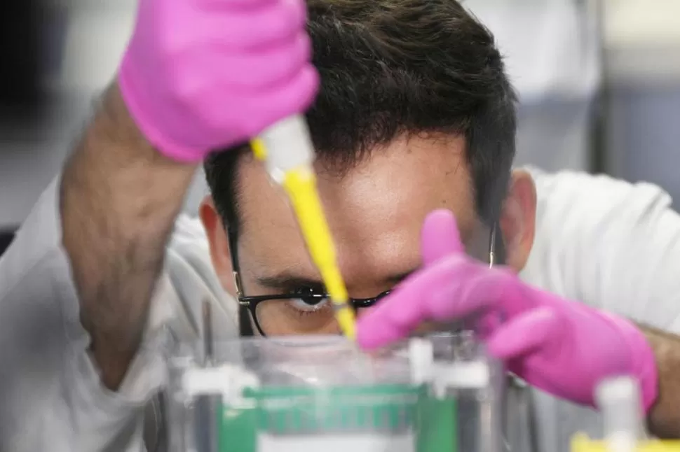 EN PLENA TAREA DE LABORATORIO. Un profesional realiza los estudios para detectar la presencia del virus. reuters