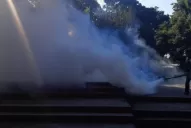 El dengue seguirá con nosotros por mucho tiempo 