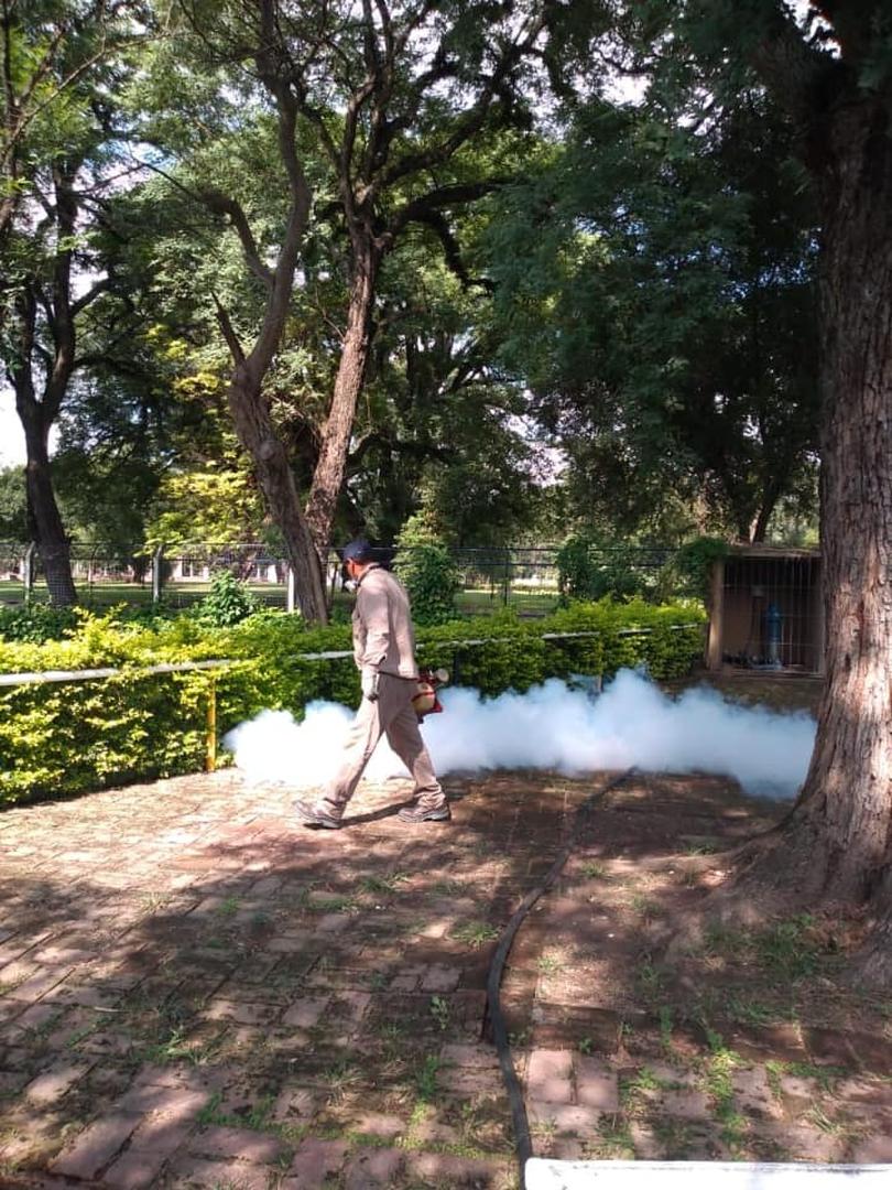 PRINCIPAL PASEO PÚBLICO. Fumigaciones en la plaza Independencia. 