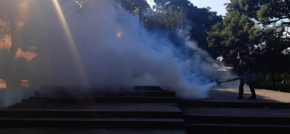 PRINCIPAL PASEO PÚBLICO. Fumigaciones en la plaza Independencia. 