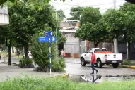 Dengue: el aislamiento social aumenta el contacto con el aedes