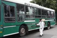 Dengue: los mosquitos no vuelan muy lejos, pero viajan con las personas y se hacen fuertes