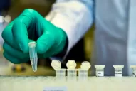 Científicos del Malbrán lograron identificar el genoma del coronavirus local