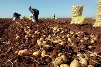 Juan Luis Fernández cargó contra intendentes de la región