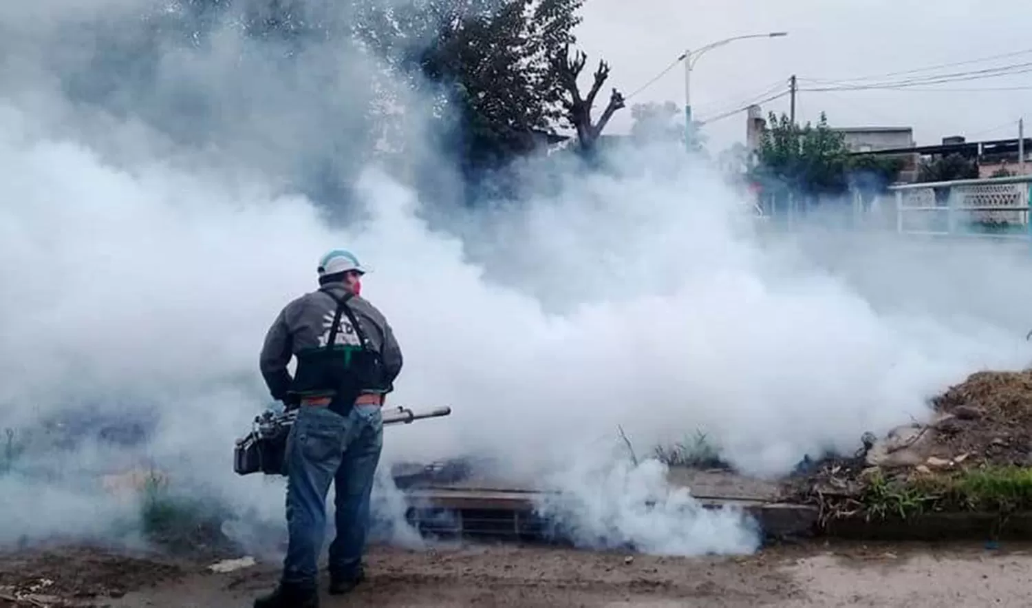 Dengue: fumigaciones en la ciudad