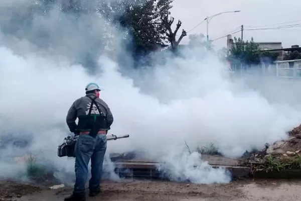 Dengue: fumigaciones en la ciudad