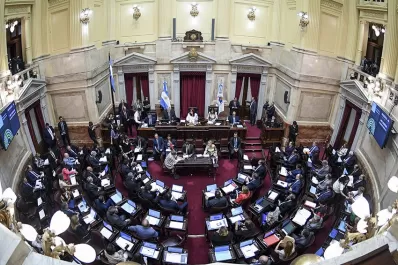 Senadores opositores rechazan el impuesto a las grandes riquezas del país