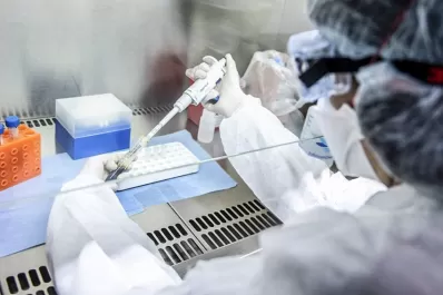 Coronarivus: cómo serán en el país los estudios con plasma de personas curadas