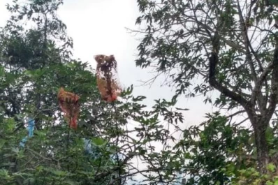 En Lules se protegen de covid-19, pero se infectan con dengue