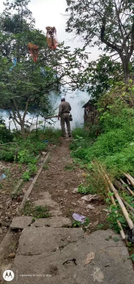 UNA LUCHA DESIGUAL. Con las fumigaciones sólo se mata el 30% de los mosquitos. El resto está en las casas. 