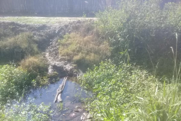 Tucumán está en alerta roja por el pico de dengue, advierten desde el Siprosa