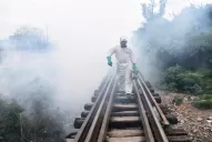 Por qué es tan grave el brote actual de dengue en Tucumán