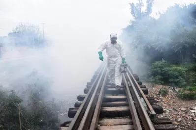Por qué es tan grave el brote actual de dengue en Tucumán