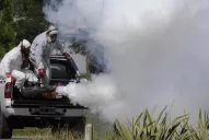 La epidemia del dengue avanza en Tucumán: se confirmaron 2.229 casos