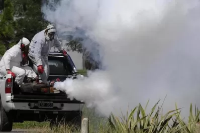 La epidemia del dengue avanza en Tucumán: se confirmaron 2.229 casos