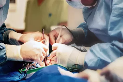 Donación de órganos: se realizaron 530 trasplantes en lo que va de la pandemia