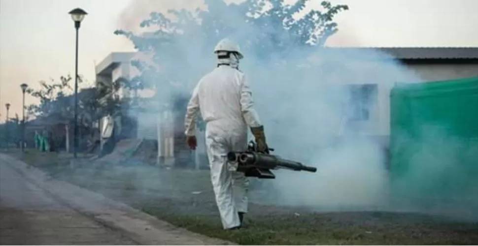 LUCHA COTIDIANA. Combatir los posibles criaderos de mosquitos Aedes aegypti es una de las acciones centrales contra el dengue. 