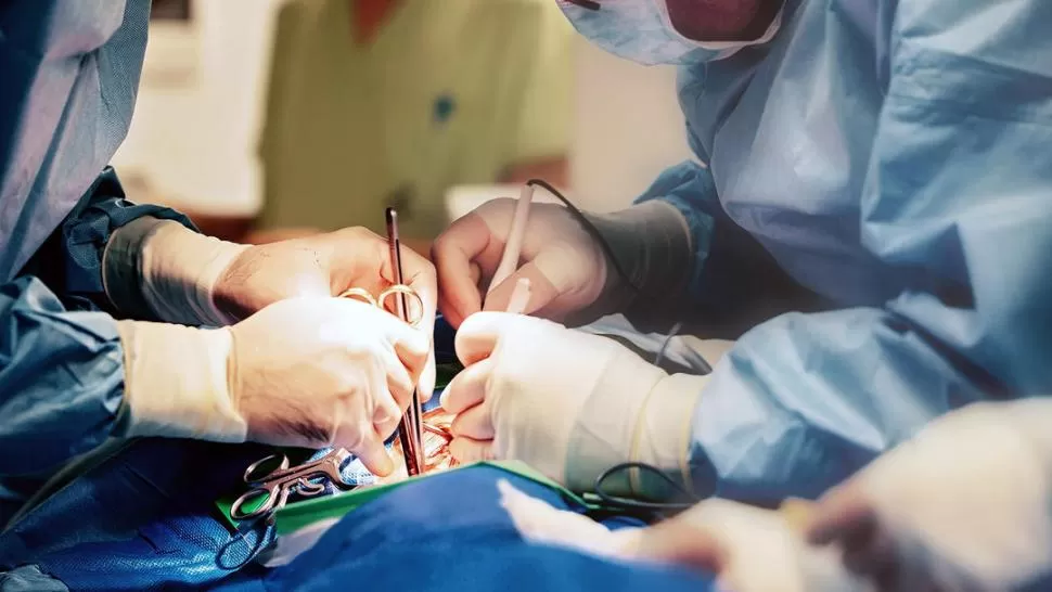 DONAR. También en pandemia hacen falta órganos para salvar vidas. 