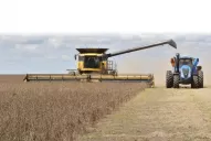 La soja y el maíz cerraron con ganancias en la Bolsa de Comercio Rosario
