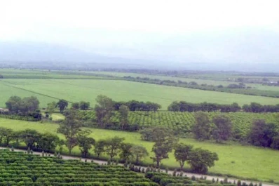 La calidad de los suelos no es eterna: se debe mantener su fertilidad