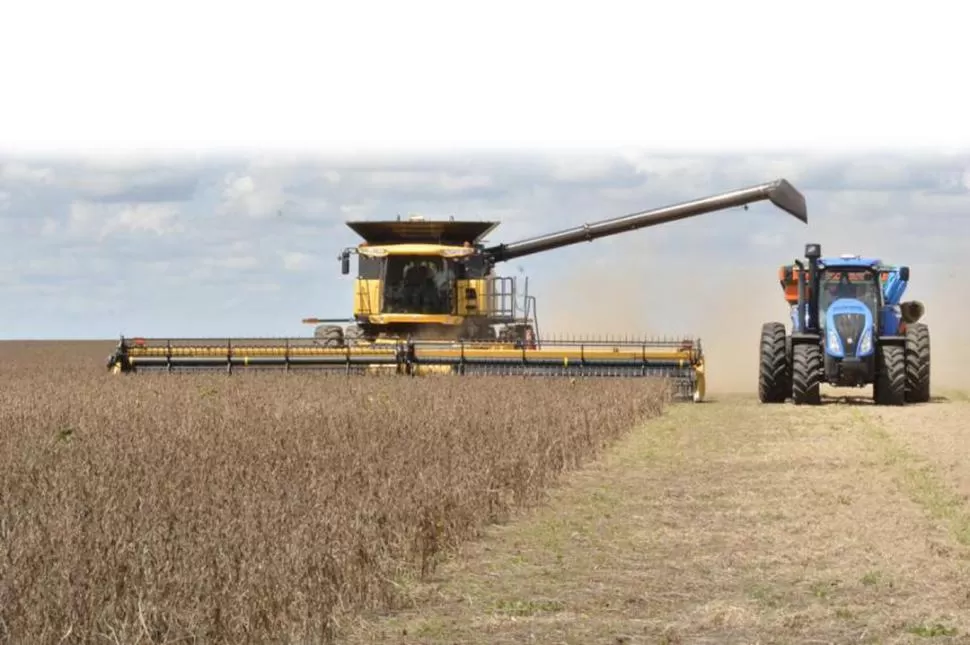 ESCENARIO. La Bolsa de Cereales de Buenos Aires mantiene su proyección de cosecha de soja en 49,5 millones de t.  