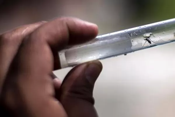 Municipios de Jujuy retirarán de las casas elementos que sirvan de criadero de mosquitos