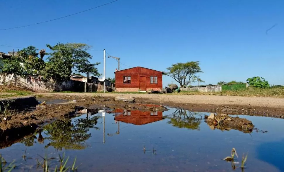 ABANDONO. En Los Pocitos se vive entre malezas y calles inundadas. la gaceta  / foto de franco vera