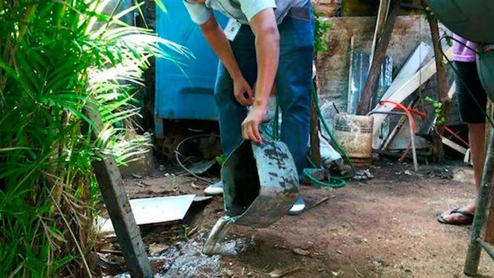 CUIDADO DIARIO. En el fondo de la casa no debe haber recipientes con agua, porque allí crecen las larvas. 