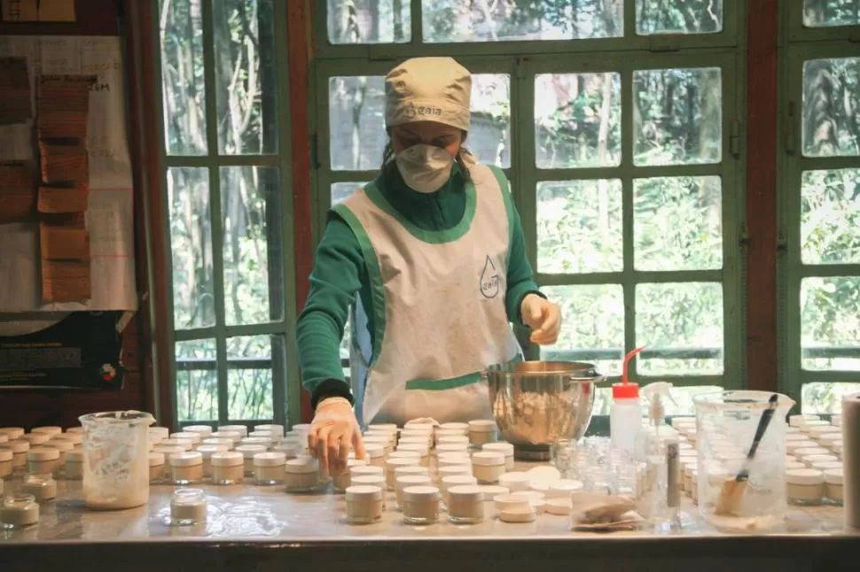 EN ELABORACIÓN. La marca formula sus productos ecológicos en un “laboratorio piloto” ubicado en El Corte.  GENTILEZA foto de LUCÍA BROWN 