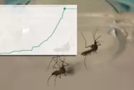 En un mes, los casos de dengue se multiplicaron por 10 en Tucumán