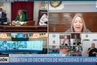 Finalizó la primera telesesión del Senado
