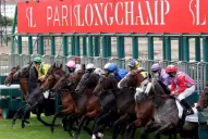 El turf pica en punta para volver antes que otras actividades