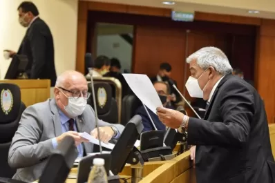 Un legislador le pide informes al ministro Yedlin por la muerte de Érica