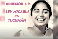 Familiares de víctimas de femicidio grabaron un video para exigir la adhesión a la Ley Micaela