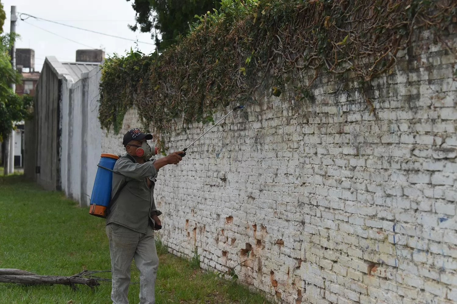 FUMIGACIÓN. Se considera clave la limpieza de los espacios verdes para combatir el mosquito transmisor del dengue.