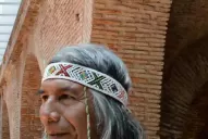 Un “amigo del tribunal” aboga a favor de la comunera