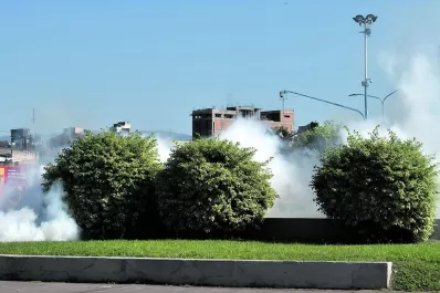 En Tucumán ya hay cerca de 5.600 contagiados de dengue y 1.242 internados