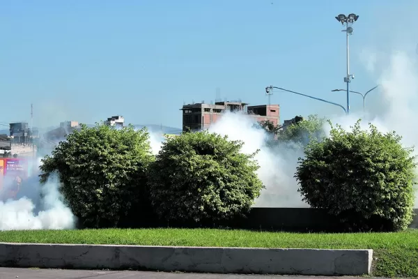 En Tucumán ya hay cerca de 5.600 contagiados de dengue y 1.242 internados
