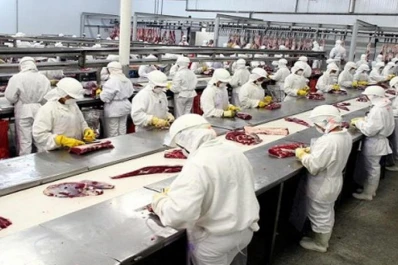 Informe del Senasa: la exportación de carnes creció casi un 20%, pese a la pandemia