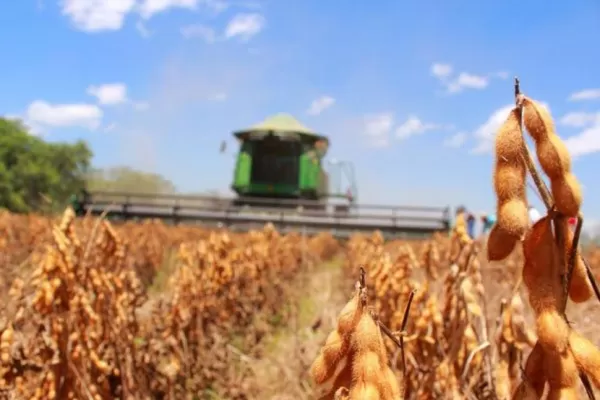 La soja alcanza el valor máximo desde 2018 en el Mercado de Chicago