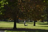 Se podrá ir a rezar, pero la salida a comer seguirá en pausa