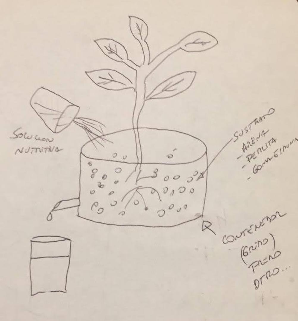 MANO ALZADA. Así dibujó Federico cómo armar la maceta hidropónica. 