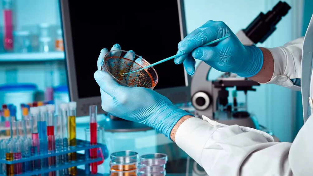 Rusia estima que podrá exportar a América Latina su nuevo antiviral contra el coronavirus
