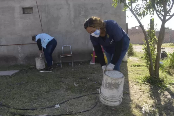 Después de varias semanas, los casos de dengue disminuyeron en Tucumán