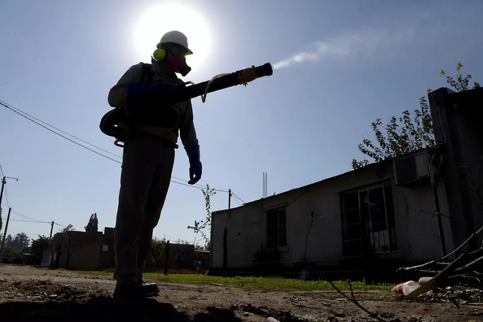 UN PELIGRO. El agua de floreros debe ser cambiada a diario para evitar las larvas del mosquito. 