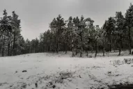 La nieve llegó a Tafí del Valle, mientras sigue bajando la temperatura en Tucumán